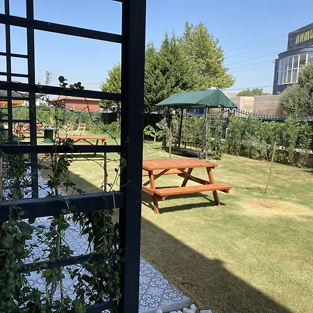 Отель Ofuro World