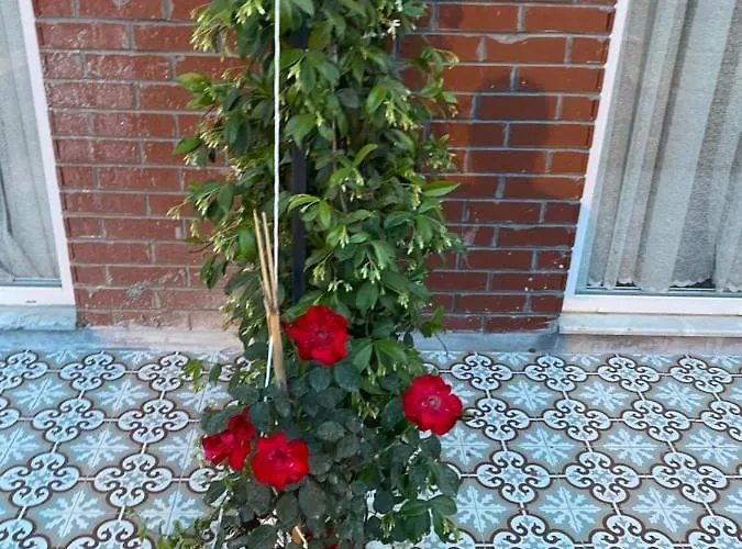 Отель Ofuro World 3*