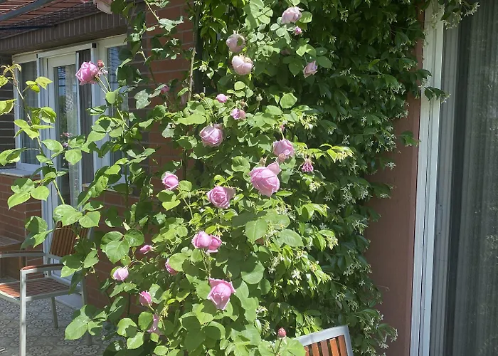 Hotel Ofuro World Esmirna